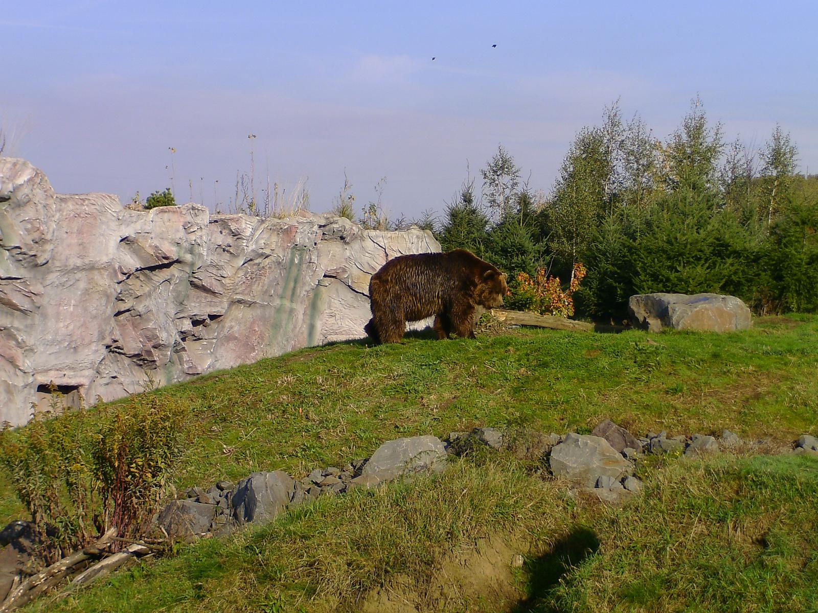 Zoom 18.10.08-029.jpg